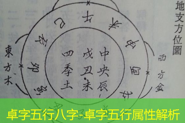  卓字五行八字-卓字五行属性解析