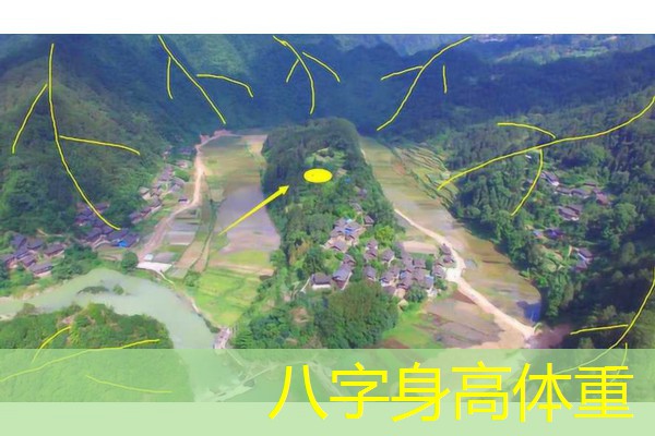  八字身高体重